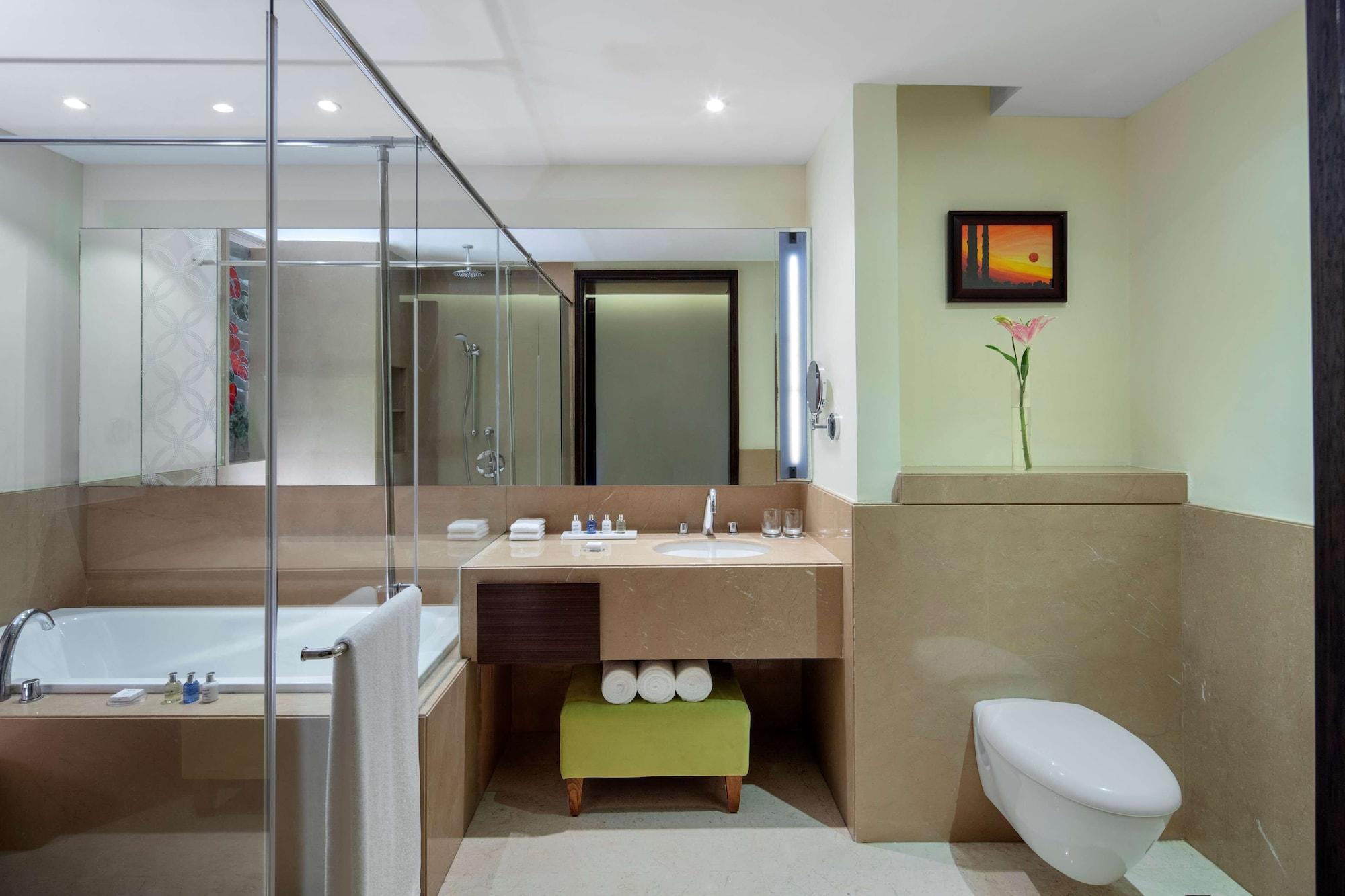 Radisson Blu Plaza Hotel Mysore Exterior foto Bathroom